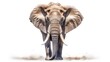 Majestic African elephant photo realistic illustration - Generative AI.