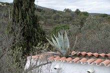 Landscape Of View From Garden At Casa Dali During Summer In Port Lligat Catalonia