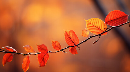 Sticker - Beautiful autumn fall landscape, backgrounds, desktops, wallpaper etc