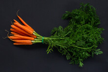 A bunch of carrots on a black background