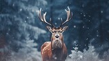Fototapeta Zwierzęta - Deer head in snow