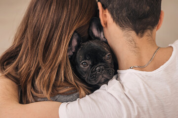 Portrait of a young couple in an embrace with a dog, rear view. A French bulldog between people looks at the camera.Family and animal life concept.