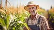 © Keitma - Happy senior american farmer standing in corn field wearing a straw hat
