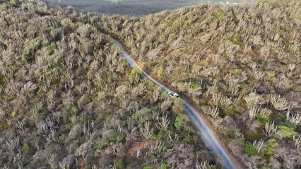 Wall Mural - Aerial view of a car driving on a scenic mountain route on an island in the Caribbean