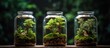 Terrarium jars with miniature forest ecosystems promoting earth conservation Bonsai and terrarium sets