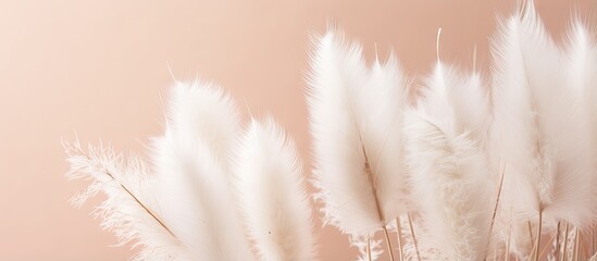 Bohemian plant decor with fashionable pampas grass backdrop