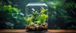Condensed moisture forms inside a terrarium as photosynthesis creates water vapor which is then absorbed by the soil