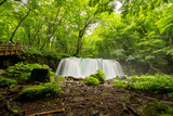 Fototapeta Miasto -  Long exposure photography of Choshi waterfall of Oirase stream in Aomori, Japan during summer