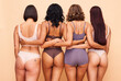 © Anela/peopleimages.com - Body positive, diversity and back of women in studio in underwear for wellness, beauty and self love. Lingerie campaign, natural and people on brown background for confidence, skincare and inclusion