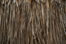 Background Texture Of Dried Grass That Has Been Bundled Together In A Sheet.