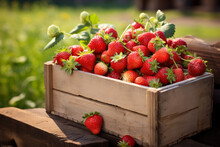 Wooden Basket Filled With Fresh Strawberries On Farmers Ground