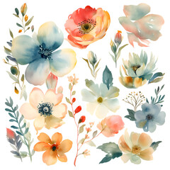 Poster - Watercolor flowers set. Hand painted illustration isolated on white background.