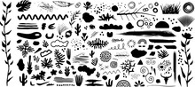 Abstrakte Handgezeichnete Vektor Elemente - Floral, Geometrisch - Pflanzen, Flüssigkeit 