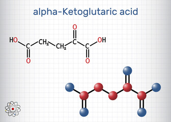 Canvas Print - Alpha-ketoglutaric acid, 2-oxoglutaric acid, oxoglutarate, alpha ketoglutarate  molecule. It is intermediate metabolite in Krebs cycle. Sheet of paper in a cage. Structural chemical formula, molecule 