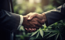 Handshake Between Businessman Or Politicians With Marijuana Leaves On The Background Symbolizing Deals And Legalization Of Cannabis