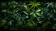 Green trees and plants jungle forest top view top down.