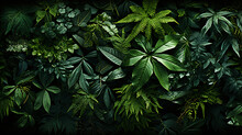 Green Trees And Plants Jungle Forest Top View Top Down.