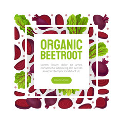 Poster - Beetroot Vegetable Crop Banner Design Design Vector Template