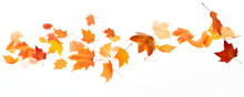 Photo Of Fallen Autumn Leaves Swirling In The Wind