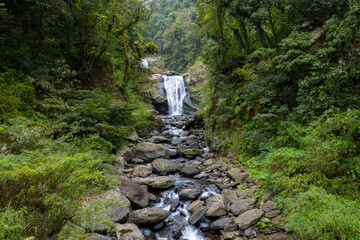 Sticker - Forest waterfall in neidong national forest recreation area of taiwan