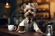 Cute dog wearing like barista