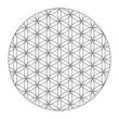 Flower of life Black outline. Scared Geometry Vector Design Elements color. This is religion, philosophy, and spirituality symbols. the world of geometry with our intricate illustrations