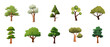 Tree set image, green trees vector illustration