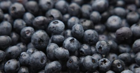 Wall Mural - Healthy Organic Fresh Juicy blueberry Fruit Berrie Macro Background