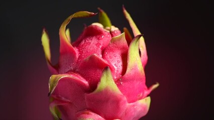 Canvas Print - Dragon fruit, Pitahaya, Pitaya exotic asian vegan juicy fruits close up. Rotating, over dark background. Slow motion. Healthy vegan food 