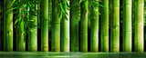 Fototapeta Sypialnia - thick bamboo stems in a row in water, green sunny nature spa background for wallpaper decoration with asian spirit