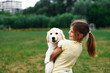 © standret - Holding animal in hands. Cute little girl is with golden retriever dog on the field