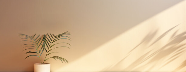 Canvas Print - minimalist interior with a tropical plant against a light beige wall illuminated by the sun, legal AI