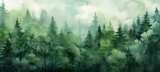 Fototapeta Las - Watercolor painting of green forest woods trees, hand drawn fir and spruce trees, landscape .background illustration