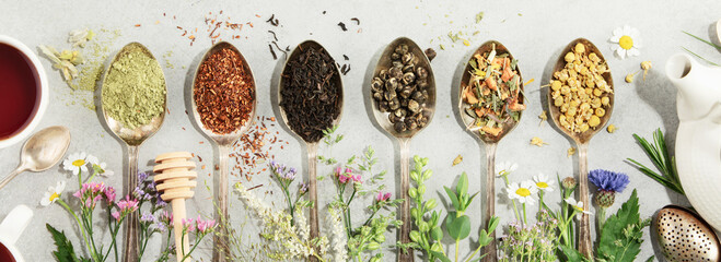 Wall Mural - Top view, organic tea collection and  Healing herbs on concrete background