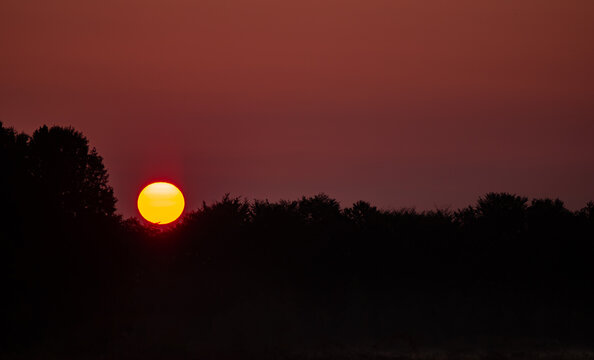 Astonishing sunrise over the forest in the autumn. Beautiful golden color on the sky made by the sun at the beginning of the day creating a misty place