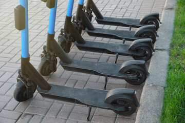 Wall Mural - Many modern electric scooters parked on pavement. Rental service