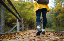 Women's Feet In Boots Go Along A Wooden Walking Path In The Autumn Forest. Vacation Travel Concept, Hiking Trail