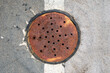 rusty drain cover in road surface, top down view.