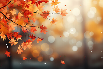 Wall Mural - Autumn leaves and sunlight background with copy space for text: Red and yellow maple leaves with soft focus light and bokeh background.