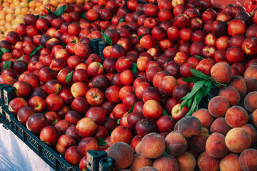 Wall Mural - Nectarine sale in the traditional farm Turkish market, a counter filled with fresh fruits