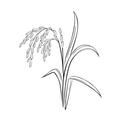 Wall Mural - Spikelet of rice outline. Black and white silhouette of cereals. Vector  illustration of paddy rice ear.