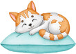 Cute cat sleeping on the pillow