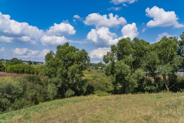 landscape with trees and sky