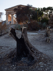 Wall Mural - l'antico tempio di Segesta circondato da intere aree di terreno bruciate dagli incendi.