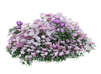 Wall Mural - Various types of pink flowers grass bushes shrub and small plants isolated	