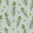 Yellow toadflax or butter-and-eggs with flowers and leaves. Blossom wildflowers for wallpaper, textile, wrapping paper. Sketch style. Hand drawn vector seamless pattern