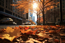Urban Autumn. The Juxtaposition Of Urban Landscapes With The Warmth Of Autumn Leaves, Such As Fallen Leaves On City Streets Or Parks Amidst Skyscrapers.