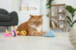 © New Africa - Cute ginger cat playing with toys at home