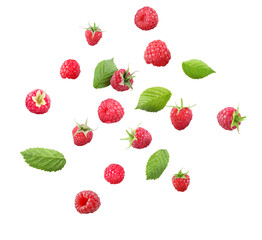 Many fresh ripe raspberries and green leaves falling on white background