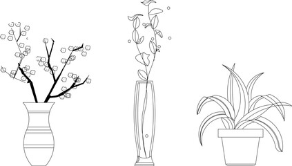 Wall Mural - Vector sketch illustration of beautiful ornamental plants in pots for home interior decoration